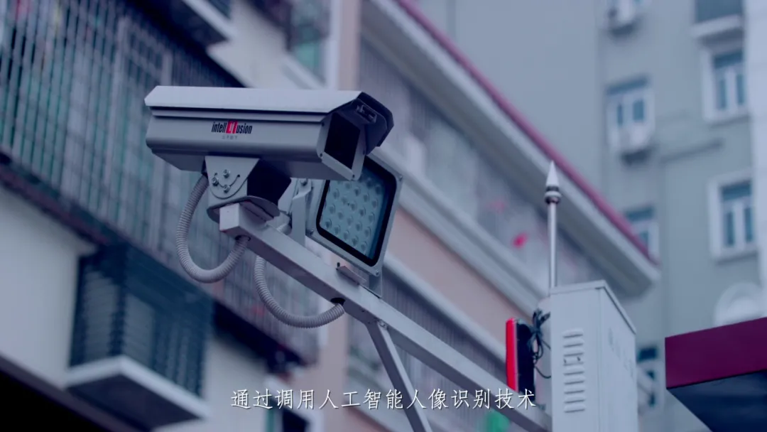 金龙迎宾 - 人生就是搏!，一个AI独角兽的数字化飞跃